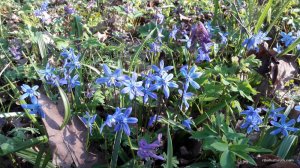 20170402_164612.jpg