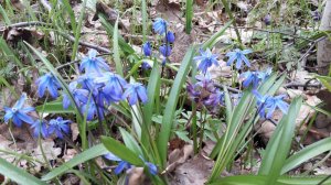 20170401_132539.jpg