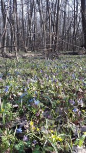 20170402_164156.jpg