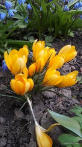 20170401_135725.jpg