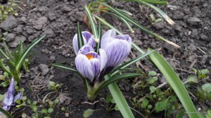 20170401_135738.jpg