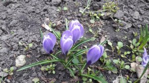 20170401_135701.jpg
