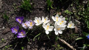 20170402_111710.jpg