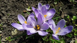 20170402_111823.jpg