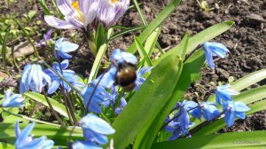 20170402_111844.jpg