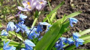20170402_111849.jpg