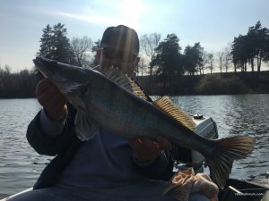 IMG_2538.JPG