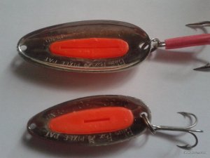 20170405_182027.jpg
