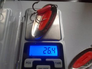 20170405_182233.jpg