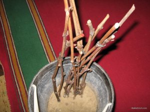 IMG_0002.JPG