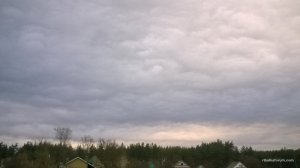WP_20170401_07_33_46_Pro.jpg