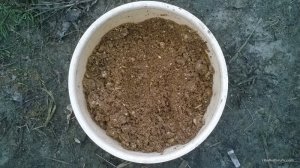 WP_20170401_07_34_34_Pro.jpg