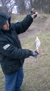WP_20170401_07_17_13_Pro.jpg