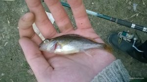 WP_20170401_09_51_20_Pro.jpg