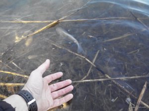 2017406153926.jpg