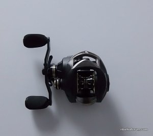 8332_1491072194.jpg