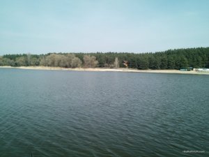 IMG_20170406_131217.jpg