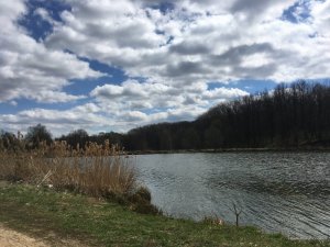 IMG_0491.JPG