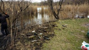 IMG_20170408_095956144.jpg