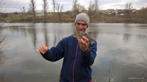 WP_20170408_10_08_14_Pro.jpg