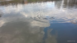 WP_20170408_14_36_52_Pro.jpg