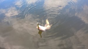 WP_20170408_14_48_47_Pro.jpg
