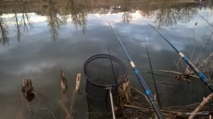WP_20170408_18_47_49_Pro.jpg