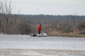 IMG_6004.JPG