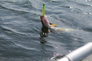 IMG_6046.JPG