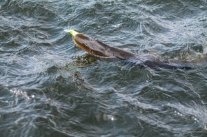 IMG_6138.JPG