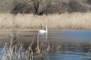 IMG_5965.JPG