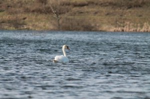 IMG_5973.JPG