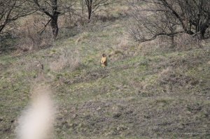 IMG_5983.JPG