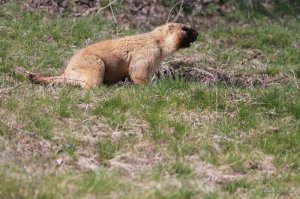 IMG_6125.JPG