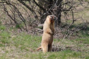 IMG_6124.JPG