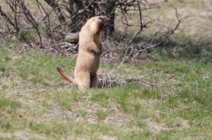 IMG_6119.JPG