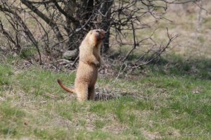 IMG_6114.JPG