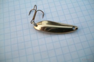 100_3346.JPG