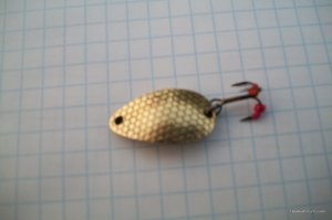 100_3345.JPG