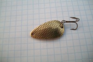 100_3344.JPG