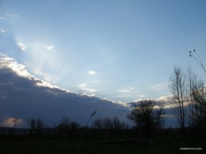 P1010026.JPG