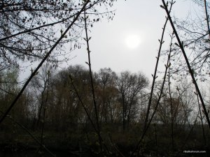 P1010008.JPG