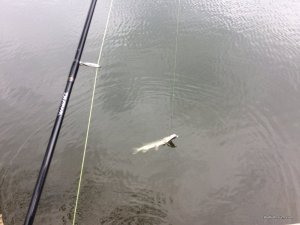 IMG_4714.jpg