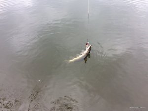 IMG_4715.jpg