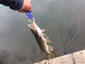 IMG_4804.jpg