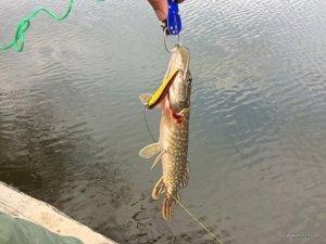 IMG_4805.jpg