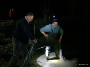 IMG_20170408_210840.jpg
