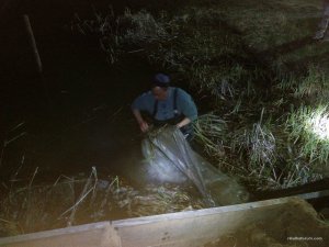 IMG_20170408_211547.jpg