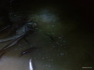 IMG_20170408_210849.jpg