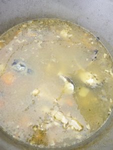 IMG_20170409_121739.jpg